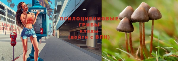 соль курить ск Бородино