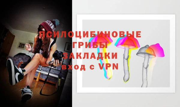 МДПВ Бронницы