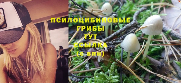 соль курить ск Бородино