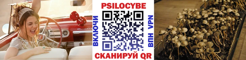 маркетплейс клад  Мытищи  Галлюциногенные грибы мицелий 