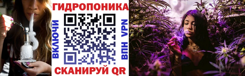 Бошки Шишки план  Мытищи 